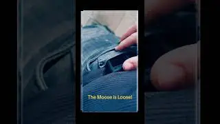 The Moose💰is Always Ready!!!! Trezor Model T
