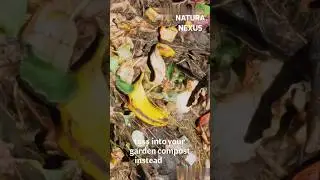 Fungi: The Future of Eco-Friendly Packaging!