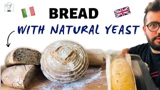 HOW TO MAKE homemade BREAD with lievito madre [EASY TUTORIAL] - Recipe with DANIELE TASSO