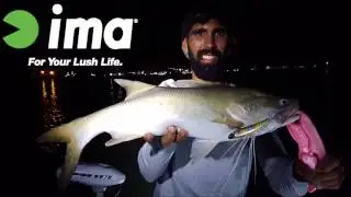 IMA Koume : Mulloway and Threadfin Brisbane River