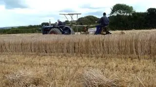 Cutting Barley with a 1922 Albion Binder and a1948 P6 Major
