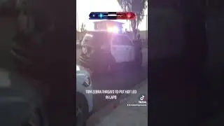 Tom zebra 15 minutes before Dijon kizzee was killed threatening law enforcement