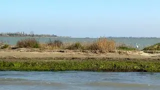 A new island is born in Venice