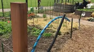 New water system 2016-2018 in Rennebohm Park