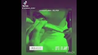 selmon ft.ufo361 stoned.allein.