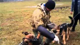 VIDEO0060 1