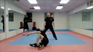 Basic Wrist Lock & Takedown