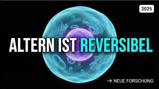 Zelluläre Verjüngung – Warum deine Zellen nicht wissen, wie alt du bist
