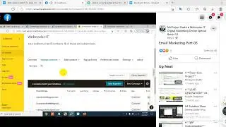 Email LIst & Mailchimp website verify