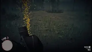 Legendary boar hunt