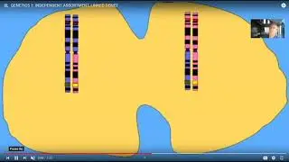 genetic mapping of gene location