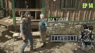 Days Gone 14  Trabalhando para a Tucker
