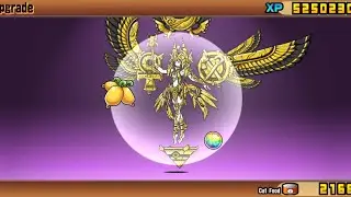 The Battle Cats | Almighty Aset | Catfruit Evolution 