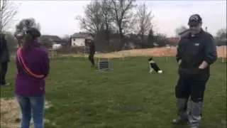 Brie demo OB1, March 2016