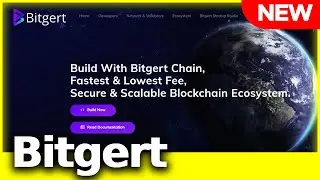 Bitgert Blockchain Is Live - BRC20 Smart Contract - Price predictions