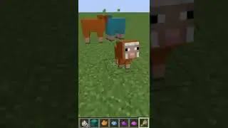 YELLOW SHEEP + LIGHT BLUE SHEEP IN MINECRAFT #shorts