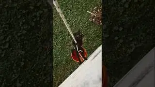 cat's slipping