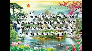 La crucea Ta-Negativ(ton fata)