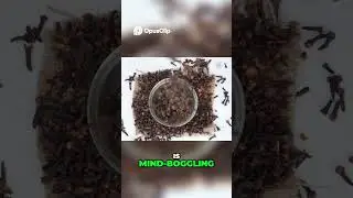 Бесконечные Вселенные. Умопомрачительный масштаб существования.