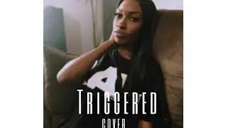 Saneit- Triggered (Cover)