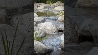 Anaheim Dream Stream #aquascape #pondless #waterfall #flowlandscape #mastercac