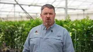 How Do Citrus Liners Ship? | Packaging & Shipping Explained | TreeSource FAQ 2025