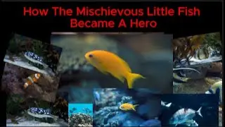 How The Mischievous Little Fish Became&nbsp;A&nbsp;Hero   -  Learn English
