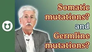 What are somatic mutations? What are germline mutations? #myeloma