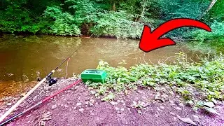 Pole Fishing And Method Feeder On Canal!