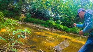 HOMEMADE CRAWDAD TRAP, can it catch anything?