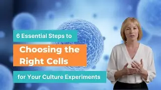6 Essential Steps to Choosing the Right Cells for Your Culture Experiments