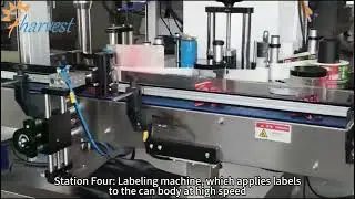 From Chaos to Order: A Panoramic View of a Fully Automated Food Can Packaging Production Line