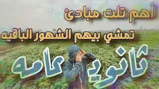 اهم تلت مبداء لازم تحطهم في بالك الفتره اللي جايه| ثانوية عامة ٢٠٢٦| ازاي تذاكر الفترة اللي جايه ؟!