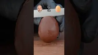 Kiwi or Egg🥚