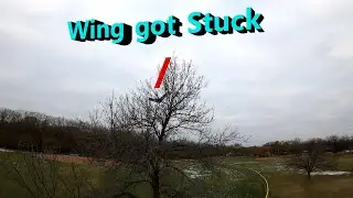 R/C Plane Stuck in a Tree?? Here's How You Get it Out!!!