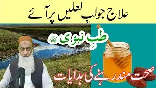 PROPHETIC SECRETS OF HEALTHY LIVING 🌿  SUNNAH LIFESTYLE GUIDE| muhammad ﷺ |#seeratunnabi #islam