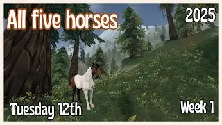 SSO🦋Camp Western 2025🤠All five horses🤠Tuesday 12th🤠Week 1