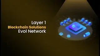 Layer 1 Blockchain Solutions II Evol Network