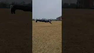 Explosive strength workout#workout  💪#workout #motivation #stunt ##video