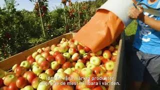 Svenskt Sigill H&aring;llbarhet p&aring; riktigt