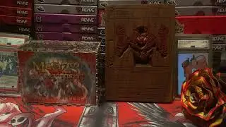 MetaZoo Q&A! Future of MetaZoo, Favorite Beastie, and Bang/Marry/Kill beastie edition?!