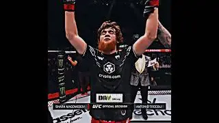 Шарабутдин Магомедов vs Антонио Троколи | UFC on ABC 6 | #shorts #ufc #abudhabi #sharabullet #russia