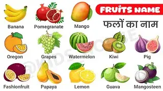 Fruit Name English Mein, Fruits Name And Vegetables Name, Different Vegetables Name In English, 🥭🍒🍓🫐