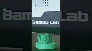 Green Mini Time-Lapse