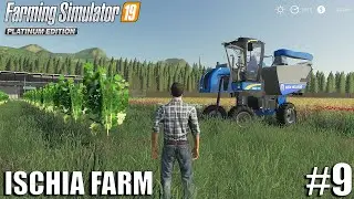 Harvesting White Grapes | Ischia Farm | Farming Simulator 19 | #9