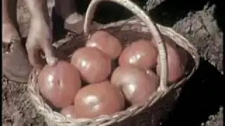 World War 2 Era Film 