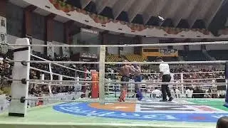 Beautiful boxing combo #boxing #boxer#mma #martialarts #usa