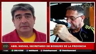 Abel Nievas, Secretario de Bosques de la provincia