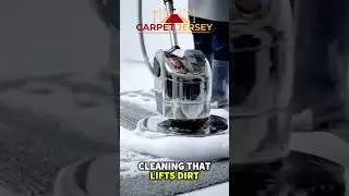 This carpet was HOLDING years of dirt