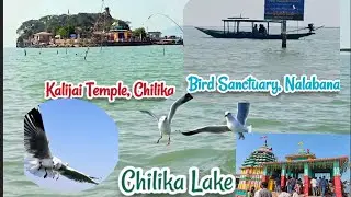 Trip To Maa Kalijai Temple | Bird Senctuary Nalabana & Chilika Lake 